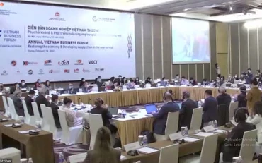 Phiên họp kỹ thuật với các chủ đề: Khôi phục chuỗi cung ứng, bảo đảm lưu thông hàng hóa, thu hút đầu tư và nâng cao năng lực cạnh tranh. (Ảnh : VBF)
