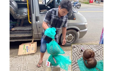 Lái xe cùng tang vật vụ việc.