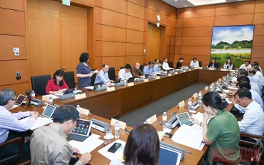 Quang cảnh phiên thảo luận tại Tổ 4 sáng 25/5. (Ảnh: LINH KHOA)