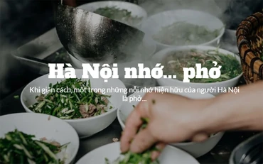 Hà Nội nhớ... phở