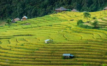 Khu ruộng bậc thang ở Mae Chaem, Chiang Mai, một trong những địa điểm quay phim được ưa chuộng tại Thái Lan. (Ảnh: Bưu điện Bangkok)