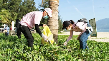 Rác thải nhựa nằm xen lẫn các bãi dây leo được nhặt sạch.