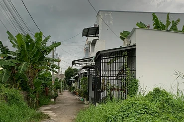 Một khu dân cư tự phát ở khu vực 7, phường An Bình, quận Ninh Kiều.