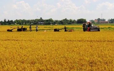 Thanh Hóa nâng cao chất lượng xây dựng nông thôn mới