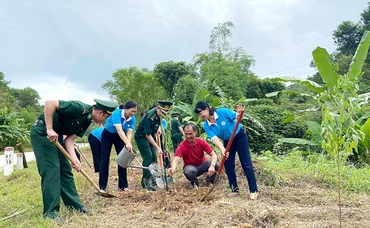 Cán bộ, chiến sĩ Bộ đội Biên phòng tỉnh Lạng Sơn và các đơn vị trồng cây tại huyện biên giới Văn Lãng (tỉnh Lạng Sơn). Ảnh: AN THÙY