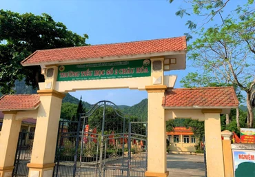 Ảnh minh họa.