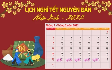 Đồ họa: Bảo An.