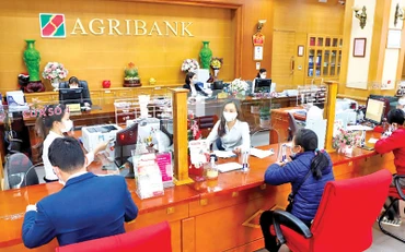 Dấu ấn Agribank trong hành trình đưa Nghị quyết 26-NQ/TW đi vào cuộc sống
