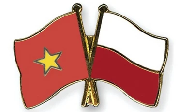 Nguồn ảnh vnplus.vn.