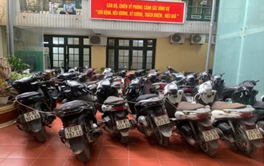 Hàng chục “xe SH” thu giữ từ băng nhóm trộm cắp.