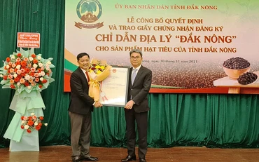 Lãnh đạo Cục Sở hữu trí tuệ trao Giấy chứng nhận đăng ký chỉ dẫn địa lý cho sản phẩm hạt tiêu Đắk Nông.