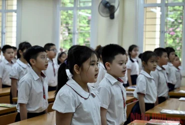 Học sinh tiểu học (Ảnh: DUY LINH)