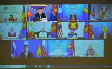 Các đại biểu dự các Hội nghị theo hình thức trực tuyến. Ảnh: TTXVN