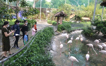 Thảo cầm viên Sài Gòn đã mở cửa đón khách tham quan.