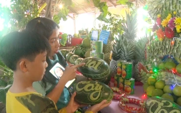 Nhiều gian hàng trái cây ngon, độc, lạ được trưng bày tại Ngày hội.