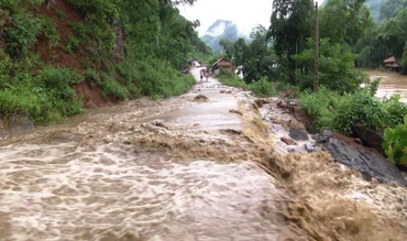 Ảnh minn họa.