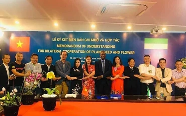 Lễ ký thỏa thuận hợp tác nông nghiệp Việt Nam-Sierra Leone. (Ảnh VIỆN KHOA HỌC NÔNG NGHIỆP VIỆT NAM)