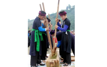 Lễ giã cốm làm cơm mới của người Tày khao huyện Văn Yên.