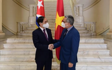 Bộ trưởng Ngoại giao Bùi Thanh Sơn và Quyền Bộ trưởng Ngoại giao Cuba Marcelino Medina. (Ảnh: Bộ Ngoại giao)
