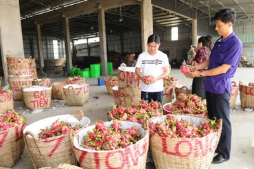 Cần nâng cao chất lượng nông sản xuất khẩu sang Trung Quốc.