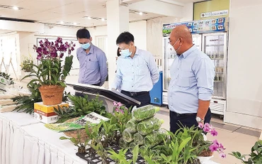 Đại biểu xem các sản phẩm nông nghiệp tiêu biểu được trưng bày tại Lễ tuyên dương Nông dân tiêu biểu TP Hồ Chí Minh năm 2021. 