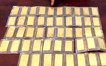 Tang vật của vụ án