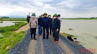 Ông Trần Quang Hoài (đứng giữa) kiểm tra tình hình úng ngập tại huyện Quảng Ninh. 