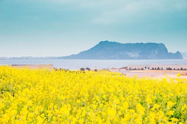 Đảo Jeju được mệnh danh là thiên đường du lịch của Hàn Quốc. (Ảnh: KTO Việt Nam)