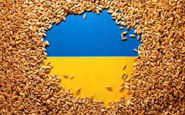 Ảnh minh họa: Hạt lúa mì trên nền cờ Ukraine. (Nguồn: Reuters)