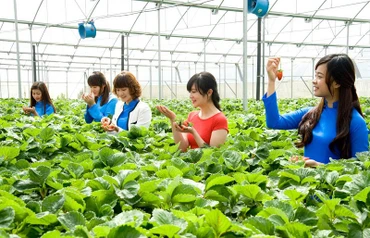 Du khách trải nghiệm điểm du lịch canh nông tại TP Đà Lạt.