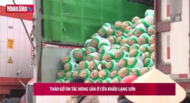 Nông sản xuất khẩu quay đầu bán tháo