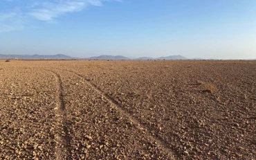 Hình ảnh 1 cánh đồng khô cạn ở Marrakech, Maroc, ngày 12/2/2022. (Ảnh: Reuters)