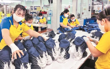 Sản xuất tại Công ty may Dony, huyện Bình Chánh.