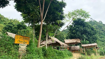 Hương rừng Pù Luông