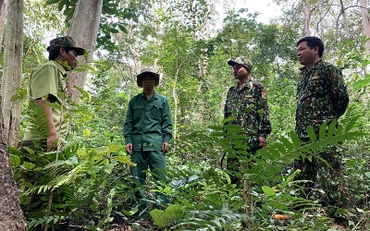 Ngoài áp lực công việc, còn nguyên nhân thu nhập thấp và công việc đối mặt với nguy hiểm tới tính mạng khiến nhiều cán bộ Kiểm lâm xin nghỉ việc, chuyển công tác khác.