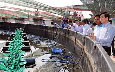 Lãnh đạo tỉnh Bà Rịa - Vũng Tàu tham quan mô hình nuôi tôm công nghệ cao tại cơ sở nuôi Liên Giang (huyện Long Điền).
