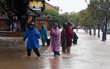 Nước đã ngập đường Bạch Đằng. Ông Nguyễn Văn Lanh, Phó Chủ tịch UBND TP Hội An cho biết: Dự báo lũ chiều ngày 8-10 là 1,6m, diễn biến mưa lũ vẫn còn phức tạp đến ngày 10-10.