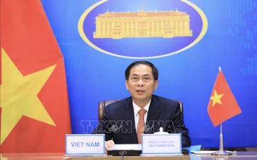Bộ trưởng Ngoại giao Bùi Thanh Sơn. (Ảnh: TTXVN)