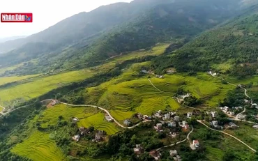 Khám phá rừng chè cổ thụ Sín Chải