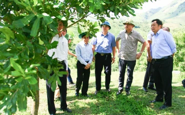 Lãnh đạo UBND tỉnh Điện Biên kiểm tra các dự án mắc-ca tại huyện Tuần Giáo.