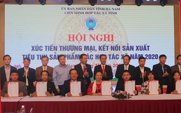 Các đại biểu ký bản ghi nhớ hợp tác giữa các đơn vị có nhu cầu kết nối sản xuất và tiêu thụ sản phẩm.