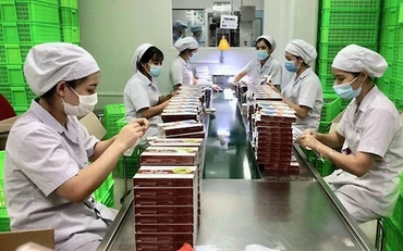 Sản xuất ở Công ty cổ phần công nghệ cao Thái Minh tại Cụm công nghiệp Thạch Thất - Quốc Oai.
