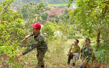 Kiểm lâm viên địa bàn cùng Trưởng bản Vì Văn Khiên kiểm tra công tác chăm sóc rừng trên khu rừng của bản Mường Pồn 1.