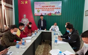 Ban tổ chức họp đánh giá công tác chuẩn bị tổ chức giải.