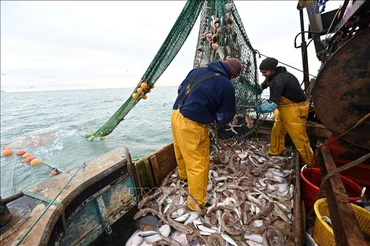 Ngư dân đánh cá ngoài khơi bờ biển phía Đông Nam nước Anh ngày 12/10/2020. Ảnh tư liệu: AFP/TTXVN