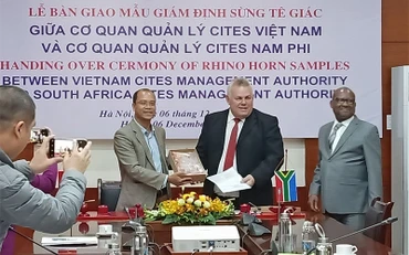 Bàn giao mẫu giám định sừng tê giác giữa cơ quan quản lý Cites Việt Nam và Cơ quan quản lý Cites Nam Phi.