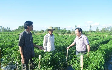 Cán bộ, đảng viên xã Nghĩa Thương, huyện Tư Nghĩa luôn sát dân, lắng nghe dân nói, tạo sự đồng thuận từ cơ sở.