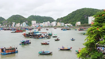 “Lên rừng, xuống biển” Cát Bà