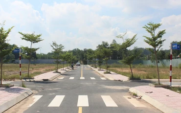 Hạ tầng kỹ thuật được xây dựng hoàn thiện tại khu đất dự án tự đặt tên Gragon City.