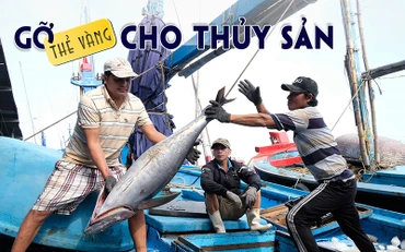 Gỡ thẻ vàng cho thủy sản